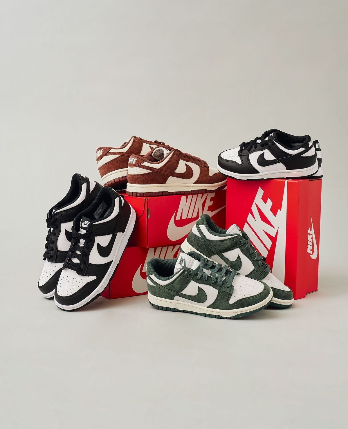 Nike Dunk Low